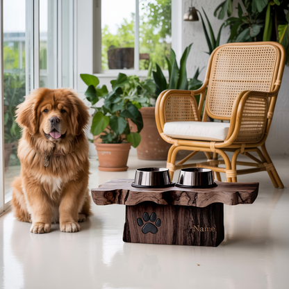 Rustic Wooden Dog Bowl Station For Modern Homes