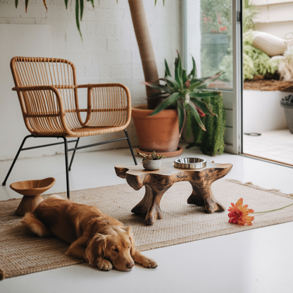 Farmhouse Raised Dog Bowl Holder For Easy Feeding