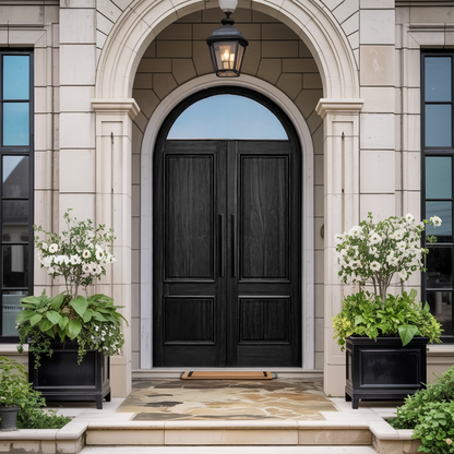 Modern Arched Entry Door For Minimalist Contemporary Home